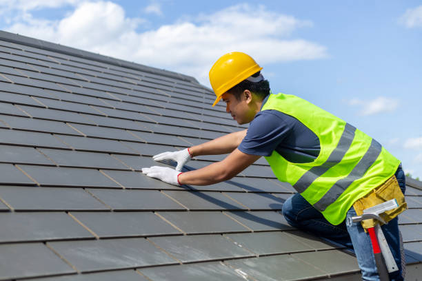 Best Roof Gutter Cleaning  in Menomonee Falls, WI